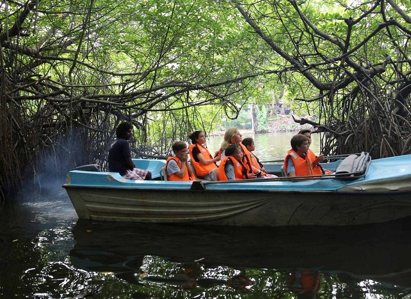 Madu River Boat Safari