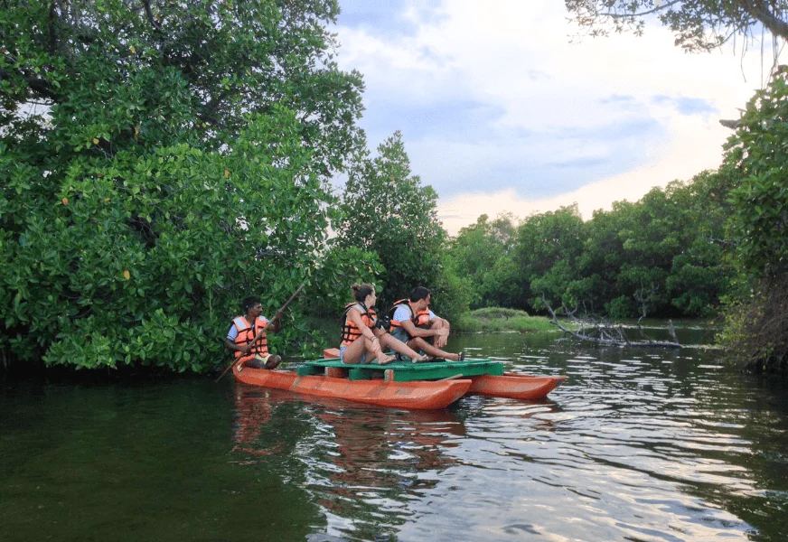 Lagoon Safari (Pottuvil)